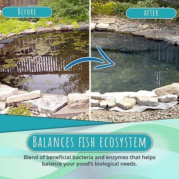 1+1 Free | Algae Repellent Powder